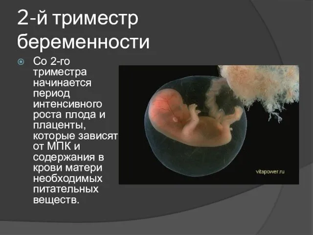 2-й триместр беременности Со 2-го триместра начинается период интенсивного роста плода