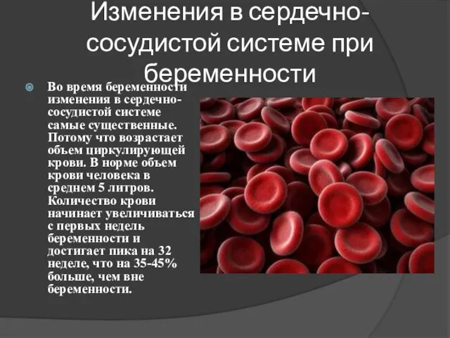 Изменения в сердечно-сосудистой системе при беременности Во время беременности изменения в