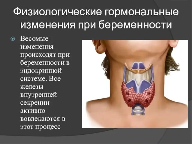 Физиологические гормональные изменения при беременности Весомые изменения происходят при беременности в