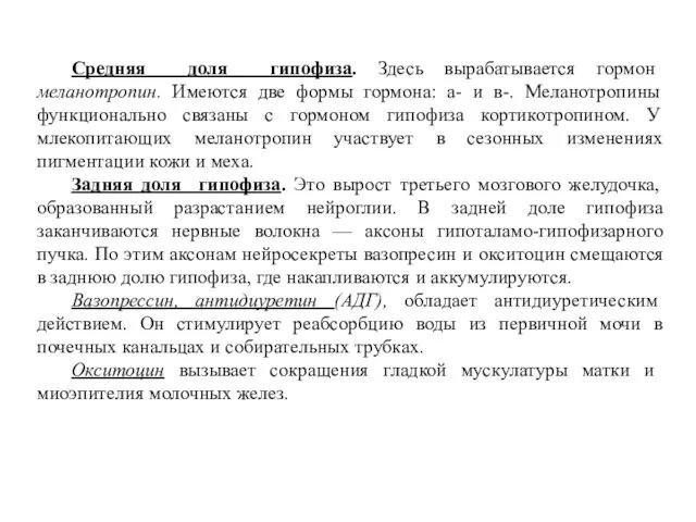 Средняя доля гипофиза. Здесь вырабатывается гормон меланотропин. Имеются две формы гормона: