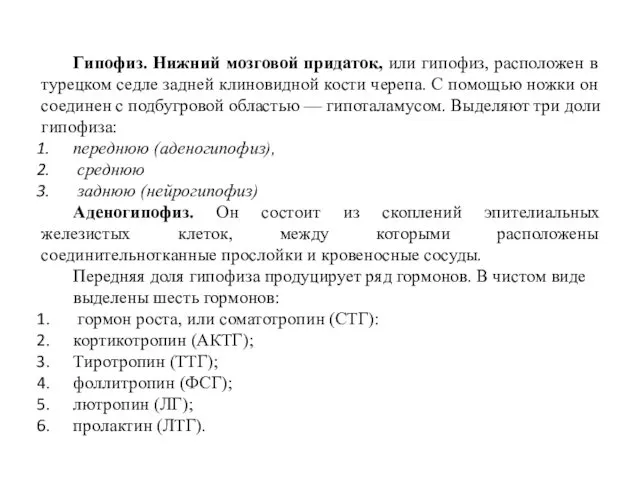 Гипофиз. Нижний мозговой придаток, или гипофиз, расположен в турецком седле задней