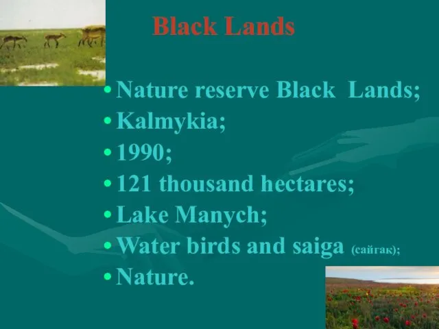 Black Lands Nature reserve Black Lands; Kalmykia; 1990; 121 thousand hectares;