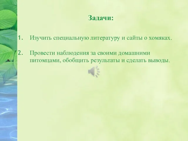 Задачи: Изучить специальную литературу и сайты о хомяках. Провести наблюдения за