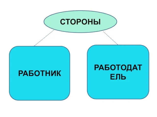 СТОРОНЫ РАБОТНИК РАБОТОДАТЕЛЬ