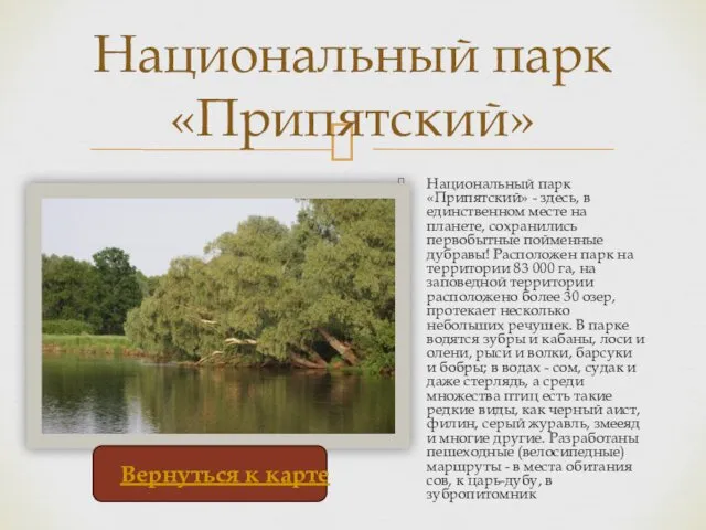 Национальный парк «Припятский» - здесь, в единственном месте на планете, сохранились
