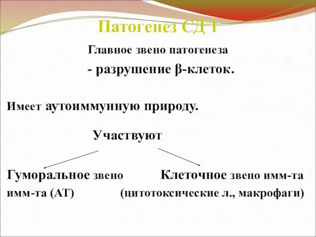 Патогенез СД 1 Главное звено патогенеза - разрушение β-клеток. Имеет аутоиммунную