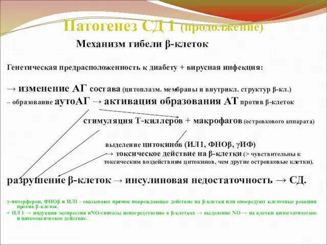 Патогенез СД 1 (продолжение) Механизм гибели β-клеток Генетическая предрасположенность к диабету