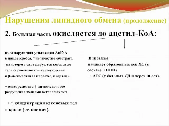 Нарушения липидного обмена (продолжение) 2. Большая часть окисляется до ацетил-КоА: из-за