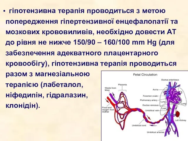 гіпотензивна терапія проводиться з метою попередження гіпертензивної енцефалопатії та мозкових крововиливів,