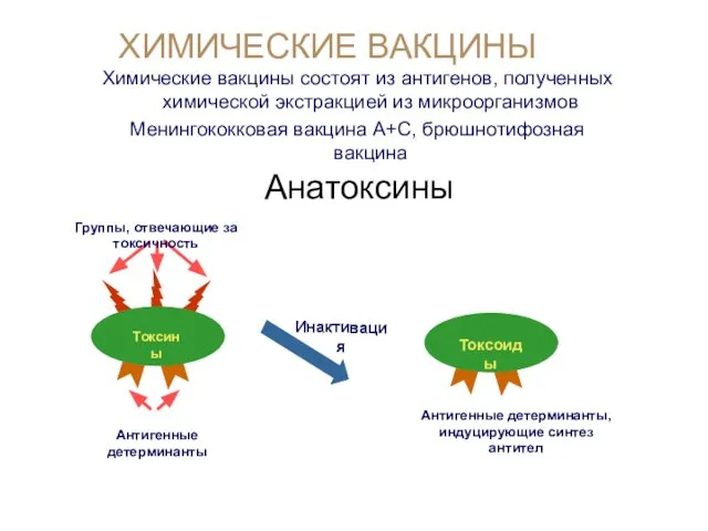 ХИМИЧЕСКИЕ ВАКЦИНЫ Химические вакцины состоят из антигенов, полученных химической экстракцией из