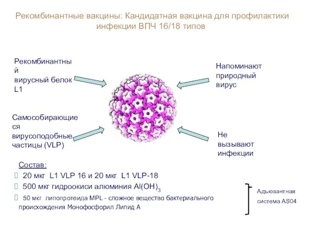 Рекомбинантные вакцины: Кандидатная вакцина для профилактики инфекции ВПЧ 16/18 типов Рекомбинантный