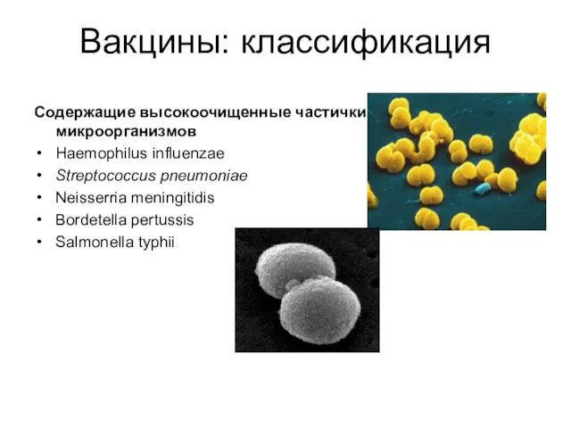 Вакцины: классификация Содержащие высокоочищенные частички микроорганизмов Haemophilus influenzae Streptococcus pneumoniae Neisserria meningitidis Bordetella pertussis Salmonella typhii