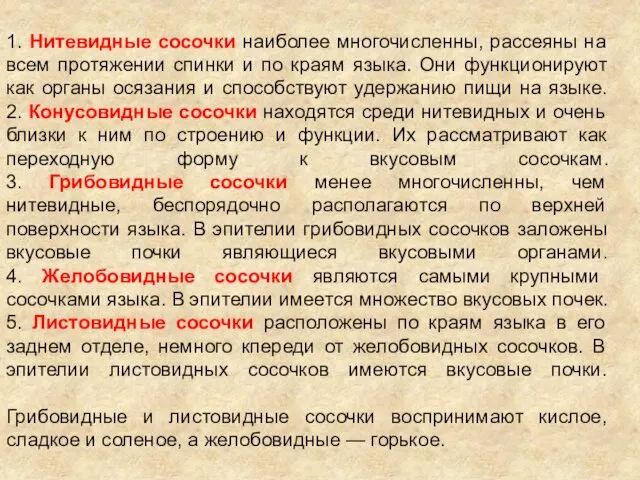 1. Нитевидные сосочки наиболее многочисленны, рассеяны на всем протяжении спинки и