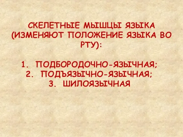 СКЕЛЕТНЫЕ МЫШЦЫ ЯЗЫКА (ИЗМЕНЯЮТ ПОЛОЖЕНИЕ ЯЗЫКА ВО РТУ): ПОДБОРОДОЧНО-ЯЗЫЧНАЯ; ПОДЪЯЗЫЧНО-ЯЗЫЧНАЯ; ШИЛОЯЗЫЧНАЯ