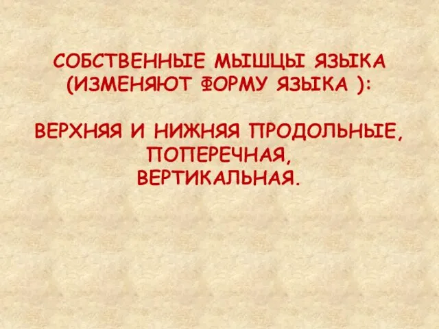 СОБСТВЕННЫЕ МЫШЦЫ ЯЗЫКА (ИЗМЕНЯЮТ ФОРМУ ЯЗЫКА ): ВЕРХНЯЯ И НИЖНЯЯ ПРОДОЛЬНЫЕ, ПОПЕРЕЧНАЯ, ВЕРТИКАЛЬНАЯ.