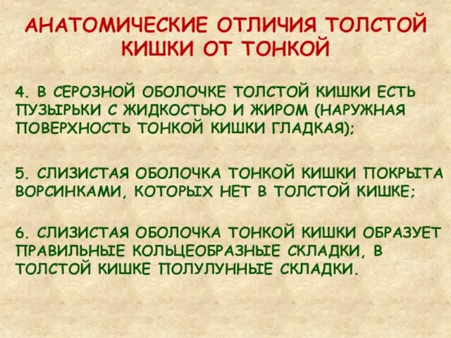 АНАТОМИЧЕСКИЕ ОТЛИЧИЯ ТОЛСТОЙ КИШКИ ОТ ТОНКОЙ 6. СЛИЗИСТАЯ ОБОЛОЧКА ТОНКОЙ КИШКИ