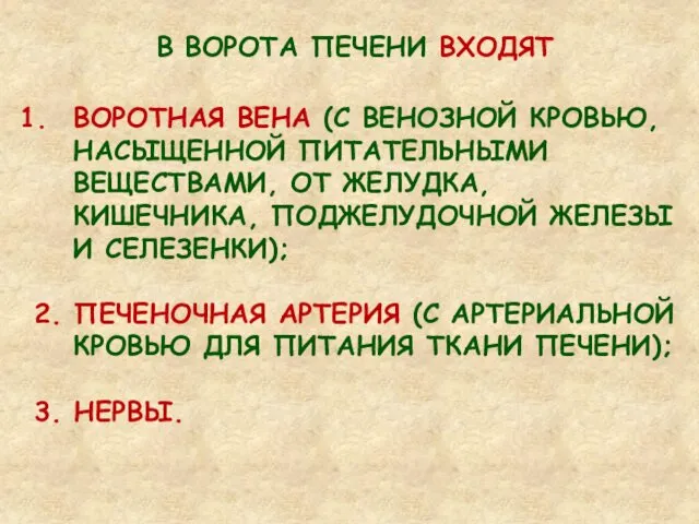 В ВОРОТА ПЕЧЕНИ ВХОДЯТ ВОРОТНАЯ ВЕНА (С ВЕНОЗНОЙ КРОВЬЮ, НАСЫЩЕННОЙ ПИТАТЕЛЬНЫМИ