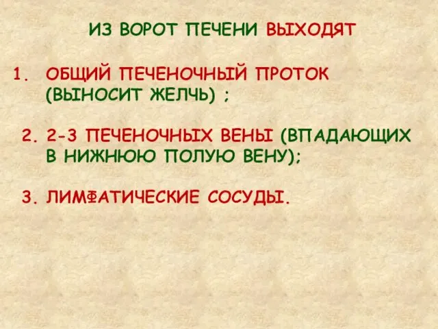 ИЗ ВОРОТ ПЕЧЕНИ ВЫХОДЯТ ОБЩИЙ ПЕЧЕНОЧНЫЙ ПРОТОК (ВЫНОСИТ ЖЕЛЧЬ) ; 2.