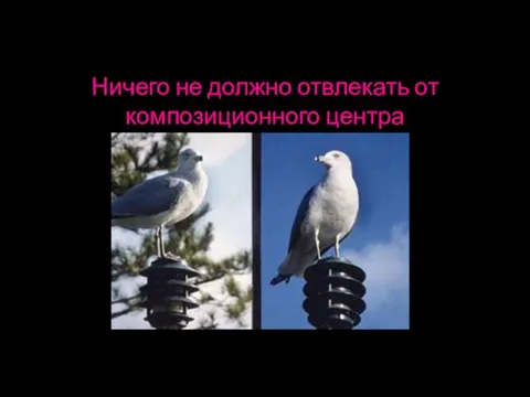 Ничего не должно отвлекать от композиционного центра