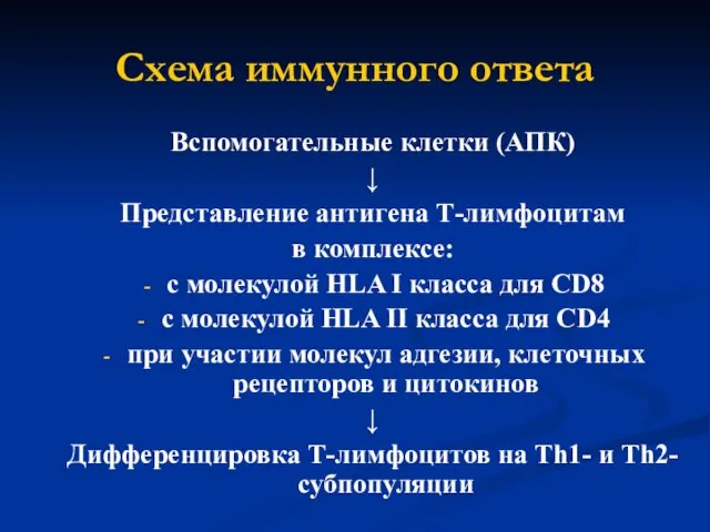 Схема иммунного ответа Вспомогательные клетки (АПК) ↓ Представление антигена Т-лимфоцитам в