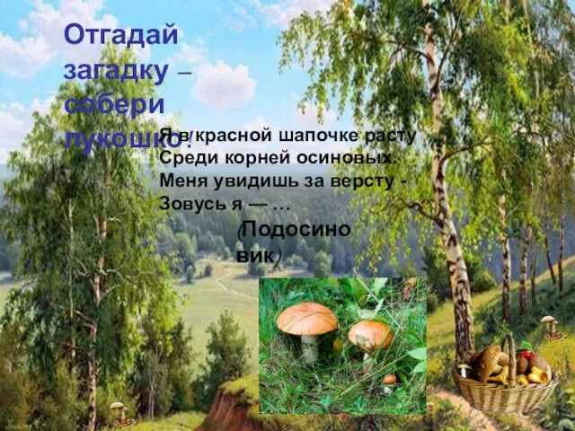 Отгадай загадку – собери лукошко! Отгадай загадку – собери лукошко! Я