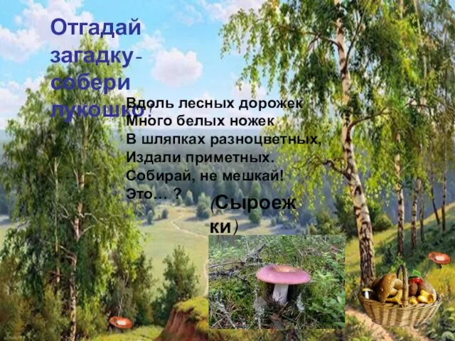 Отгадай загадку- собери лукошко! Отгадай загадку- собери лукошко! Вдоль лесных дорожек