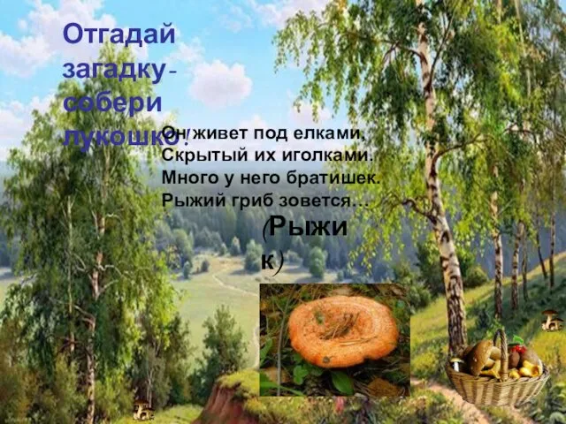 Отгадай загадку- собери лукошко! Отгадай загадку- собери лукошко! Он живет под