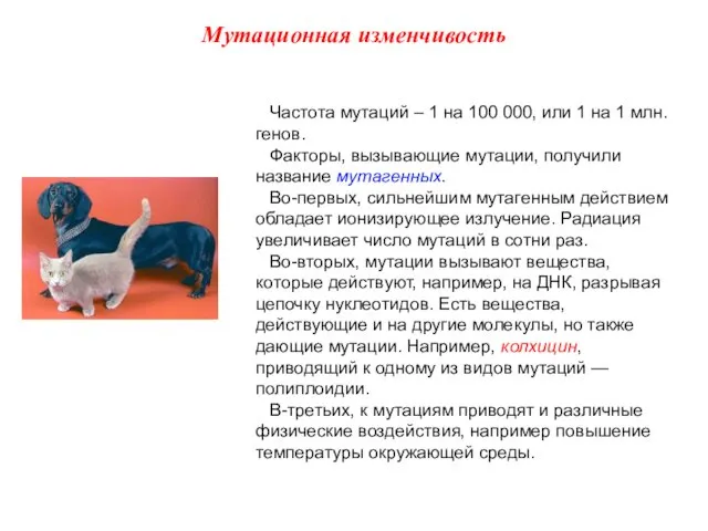 Частота мутаций – 1 на 100 000, или 1 на 1