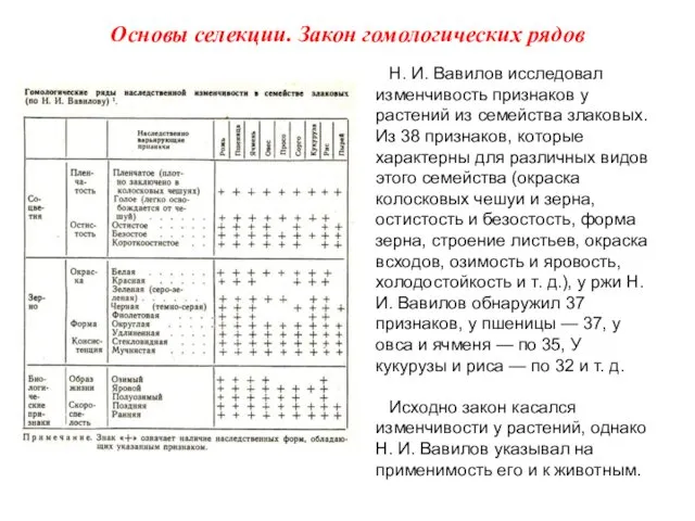 Н. И. Вавилов исследовал изменчивость признаков у растений из семейства злаковых.