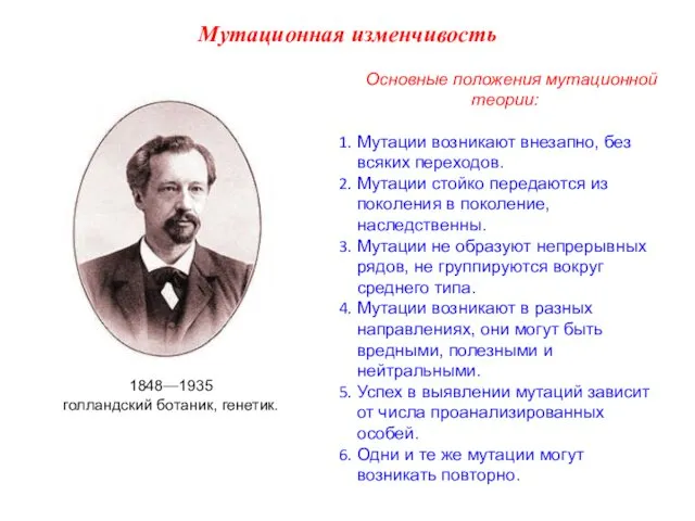 Основные положения мутационной теории: Мутации возникают внезапно, без всяких переходов. Мутации