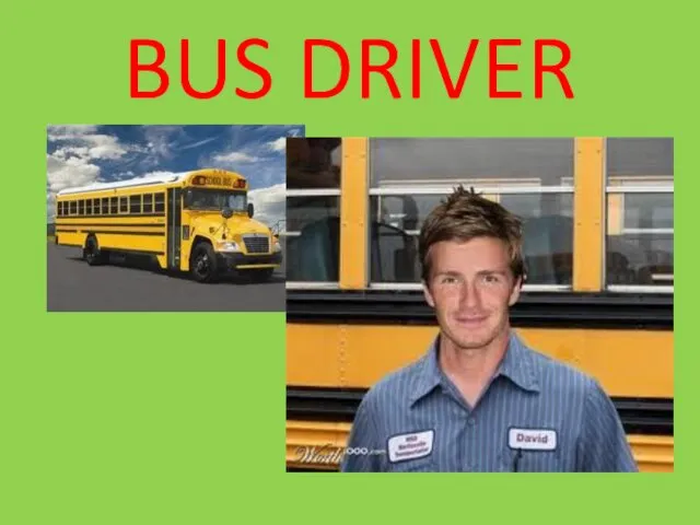 BUS DRIVER