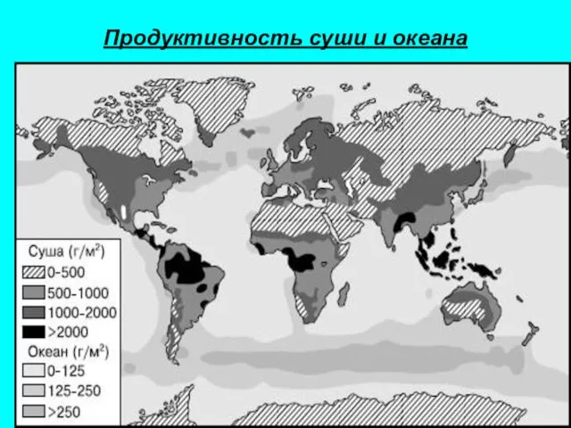 Продуктивность суши и океана