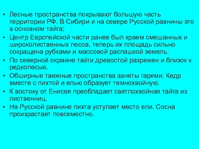 Лесные пространства покрывают большую часть территории РФ. В Сибири и на