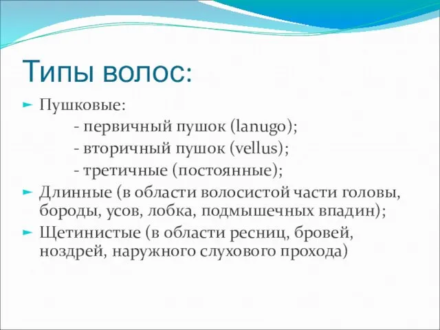 Типы волос: Пушковые: - первичный пушок (lanugo); - вторичный пушок (vellus);