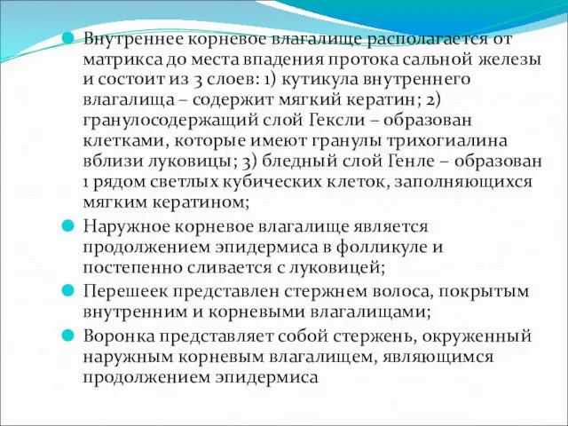 Внутреннее корневое влагалище располагается от матрикса до места впадения протока сальной