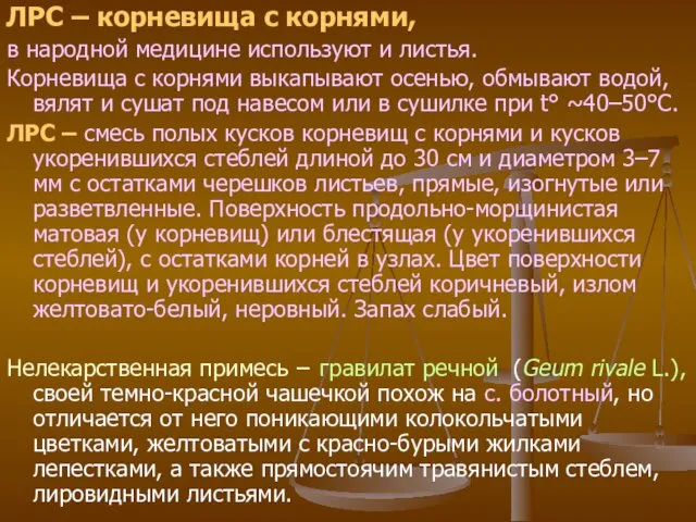 ЛРС – корневища с корнями, в народной медицине используют и листья.