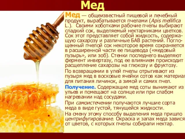 Мед Мед — общеизвестный пищевой и лечебный продукт, вырабатывается пчелами (Apis