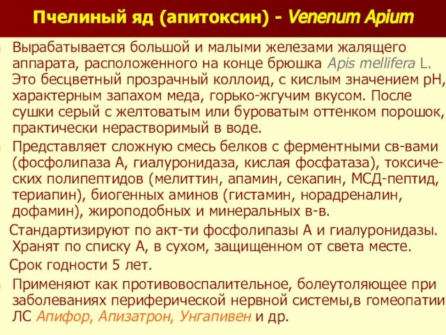 Пчелиный яд (апитоксин) - Venenum Apium Вырабатывается большой и малыми железами