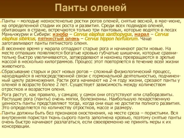 Панты оленей Панты – молодые неокостенелые ростки рогов оленей, снятые весной,