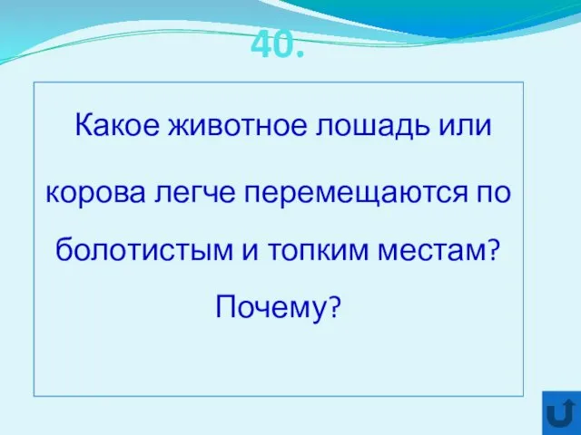 40. Какое животное лошадь или корова легче перемещаются по болотистым и топким местам? Почему?