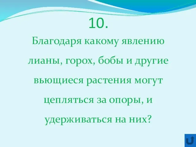 10. Благодаря какому явлению лианы, горох, бобы и другие вьющиеся растения