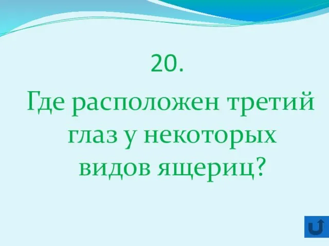 20. Где расположен третий глаз у некоторых видов ящериц?