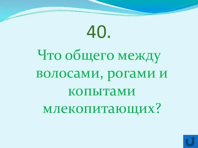 40. Что общего между волосами, рогами и копытами млекопитающих?