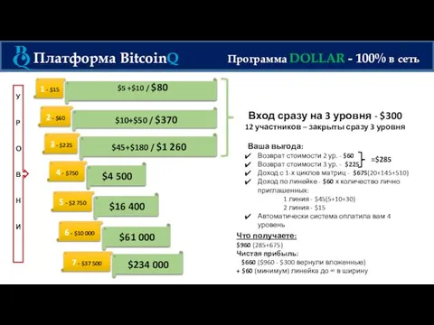 Платформа BitcoinQ Программа DOLLAR - 100% в сеть 1 - $15