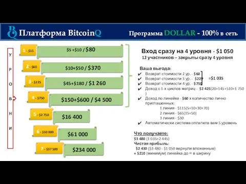 Платформа BitcoinQ Программа DOLLAR - 100% в сеть 1 - $15