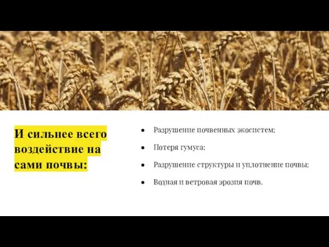 И сильнее всего воздействие на сами почвы: Разрушение почвенных экосистем; Потеря