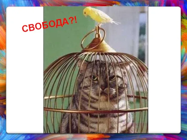 СВОБОДА?!