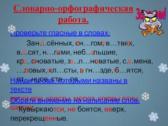 Словарно-орфографическая работа. Проверьте гласные в словах: Зан…сённых, сн…гом, в…твях, в…сят, н…гами,