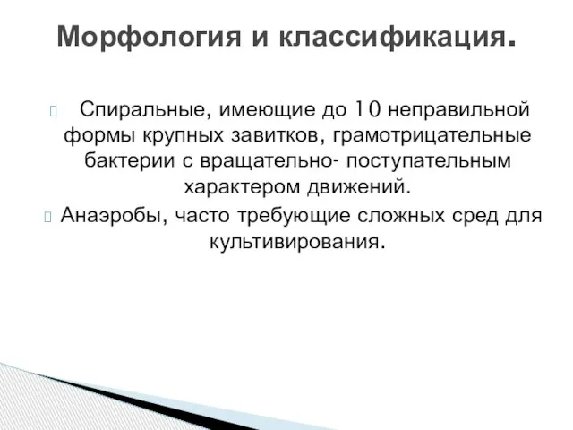 Спиральные, имеющие до 10 неправильной формы крупных завитков, грамотрицательные бактерии с