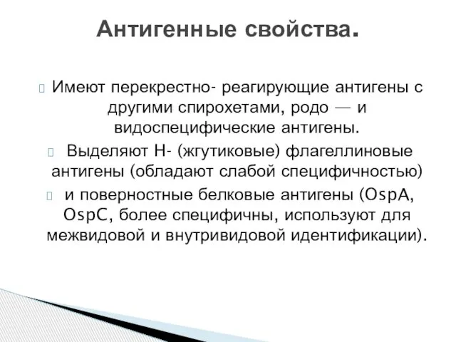 Имеют перекрестно- реагирующие антигены с другими спирохетами, родо — и видоспецифические